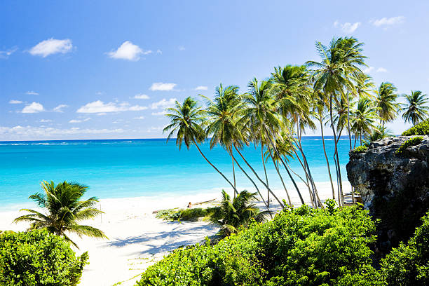 Fatal Shooting at Carters Gap Rocks Barbados Amid Growing Tensions