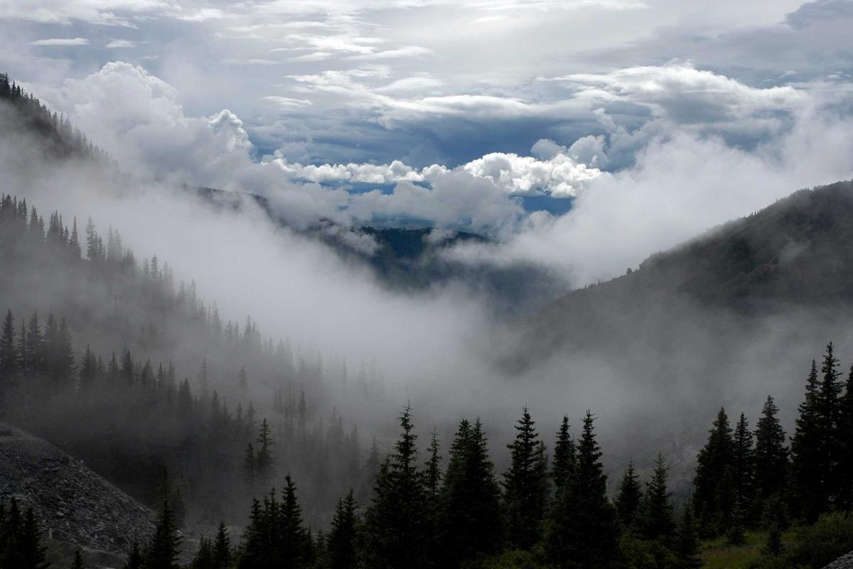 Miss Teen Dominica 2026: Five Young Contestants Battle for Crown Amid Global Shifts