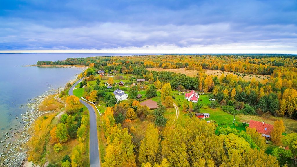 Estonia to Seal Border with Russia Under Cover of Darkness, Restricting Night Traffic Starting February 24