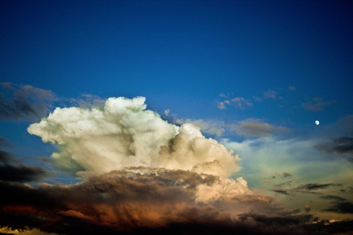 Kiribati to Strengthen Climate Resilience with New Project Adviser Position