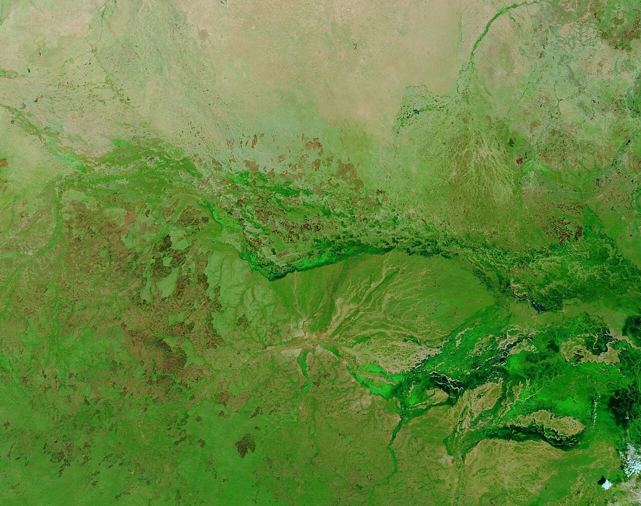 South Sudan on Brink of Collapse: Over 370,000 Displaced Amid Escalating Violence