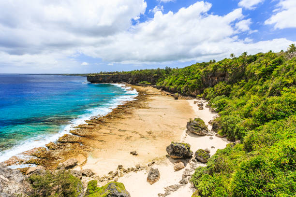 Tonga on Brink of Disaster as Pacific Island Nation Grapples with Worst Weather Woes in Years