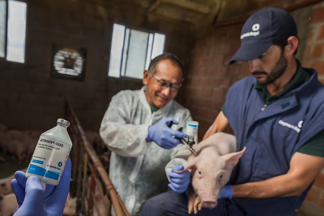 Zone 6B registers suspected case of Foot and Mouth Disease